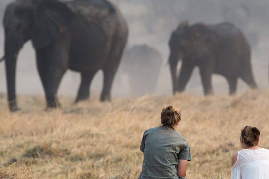 African Monarch Lodges Guided Bush Walk