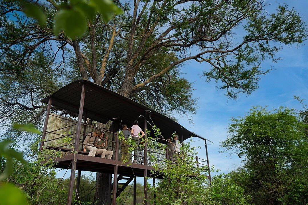 African Monarch Lodges Bush Walk