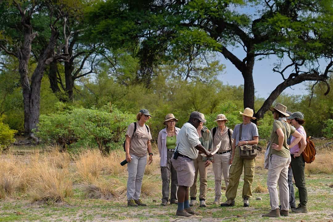 African Monarch Lodges Bush Walk