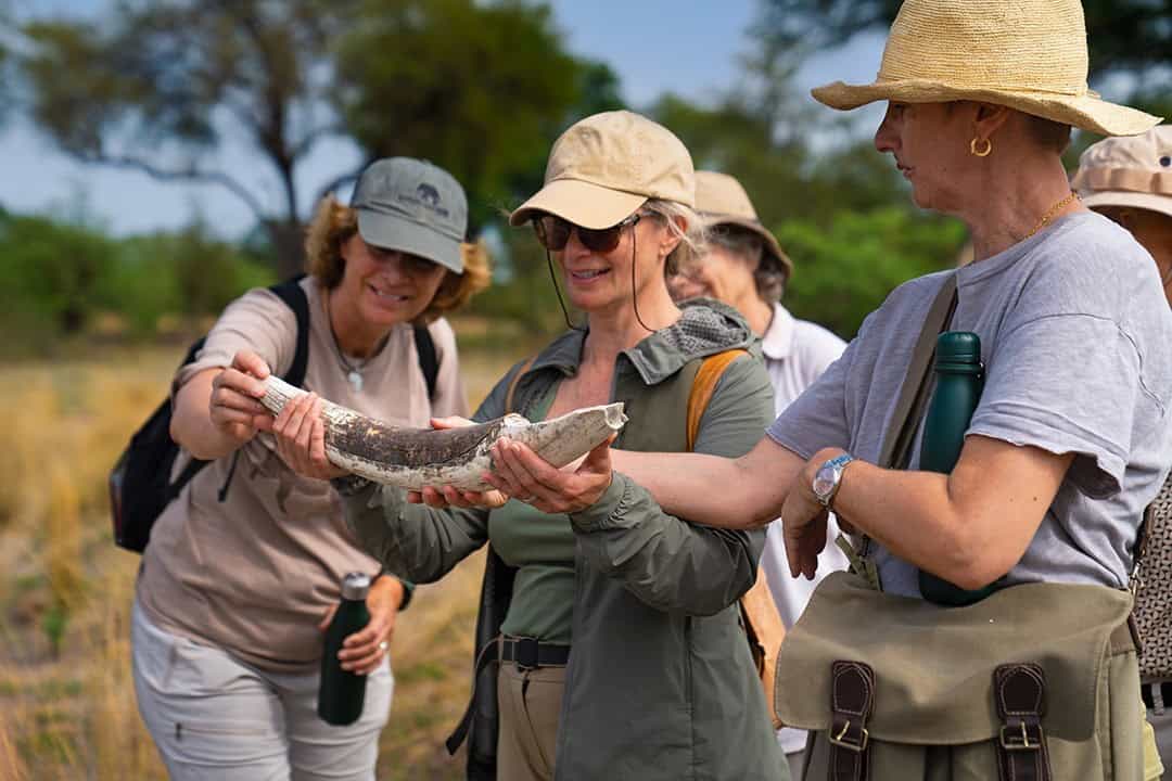 African Monarch Lodges Bush Walk