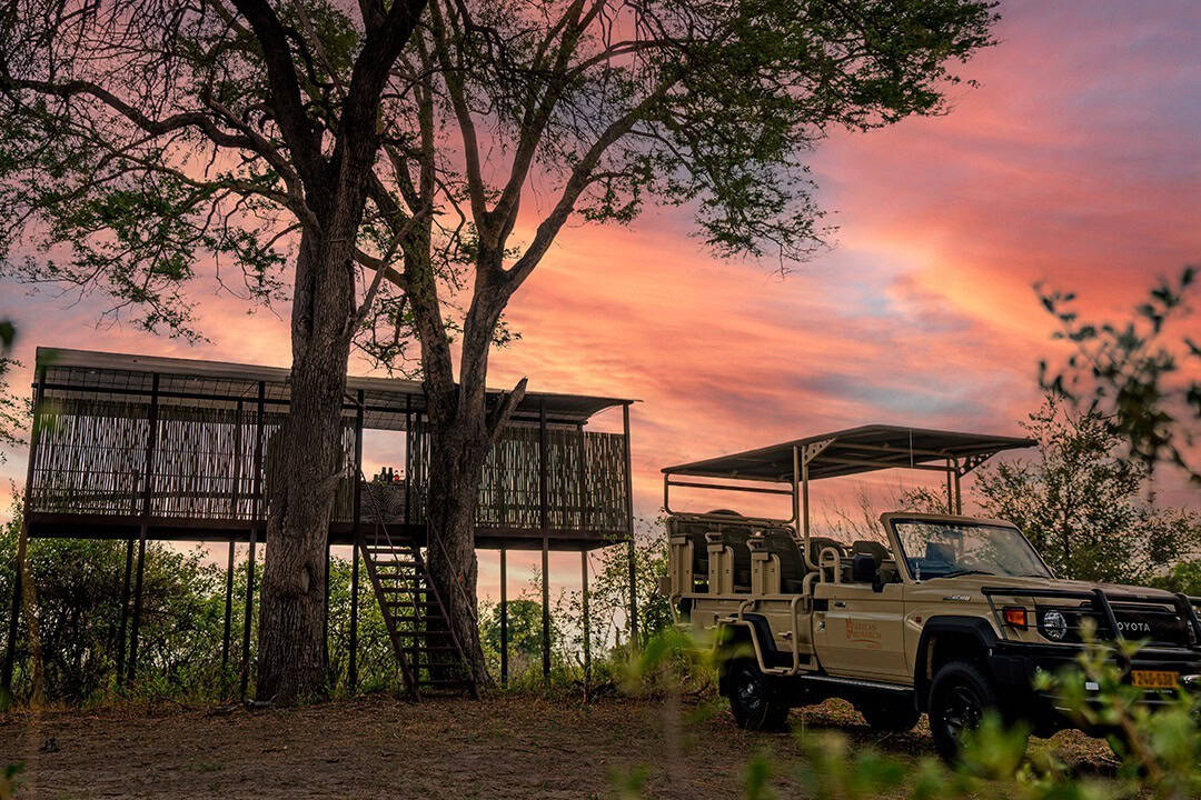 African Monarch Lodges Bush Walk