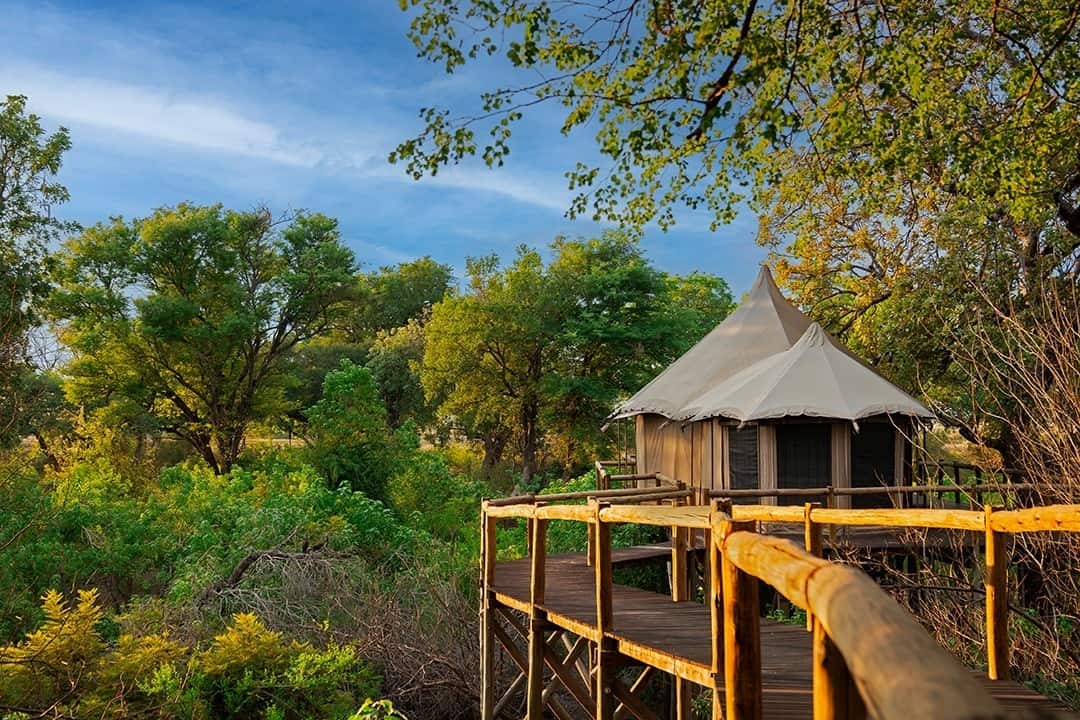 African Monarch Nambwa Tented Lodge