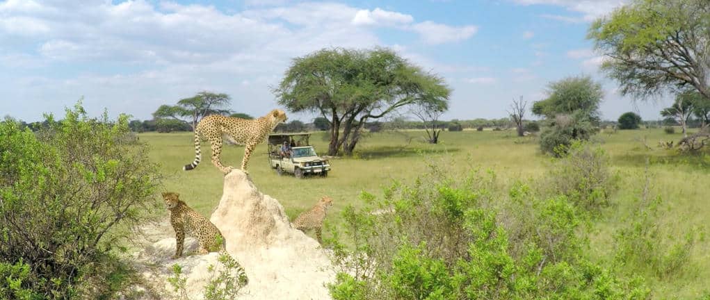 The Hide Safari Camp