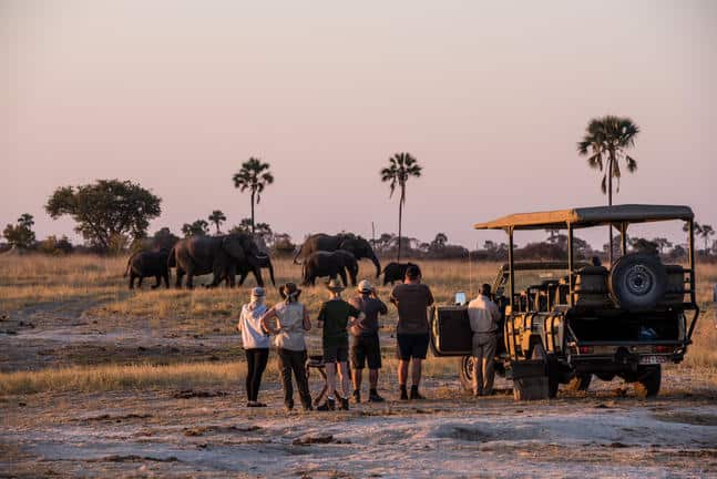 The Hide Safari Camp