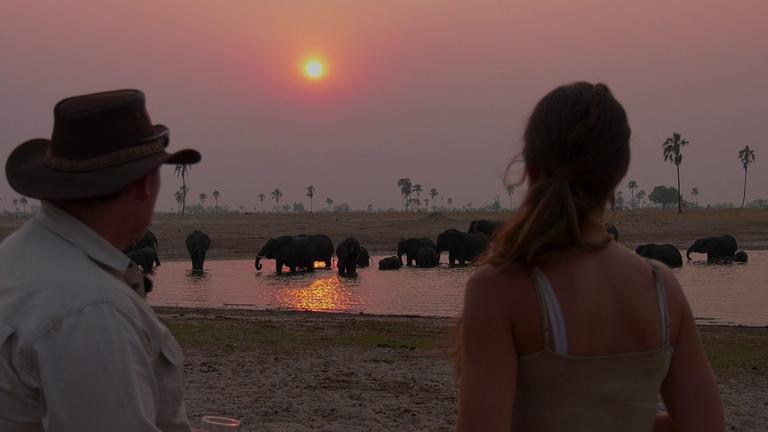 The Hide Safari Camp