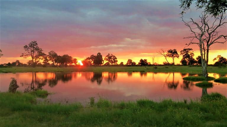 The Hide Safari Camp