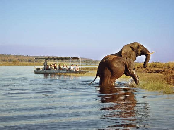 Tongabezi Lodge